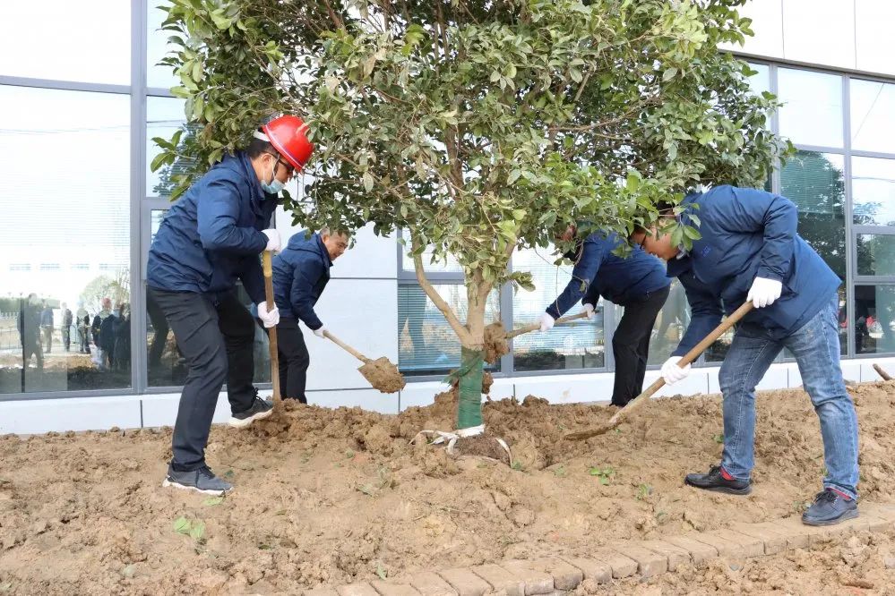 争做护绿大使，共创瑞江家园——植树节活动报道